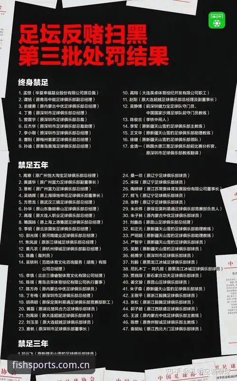 足协第三批禁足名单全面解析：65人受罚，17人终身禁足背后的行业震荡