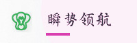 合作伙伴